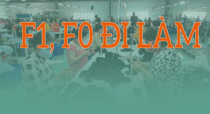 Diễn đàn “Đề xuất F0, F1 có thể đi làm”
