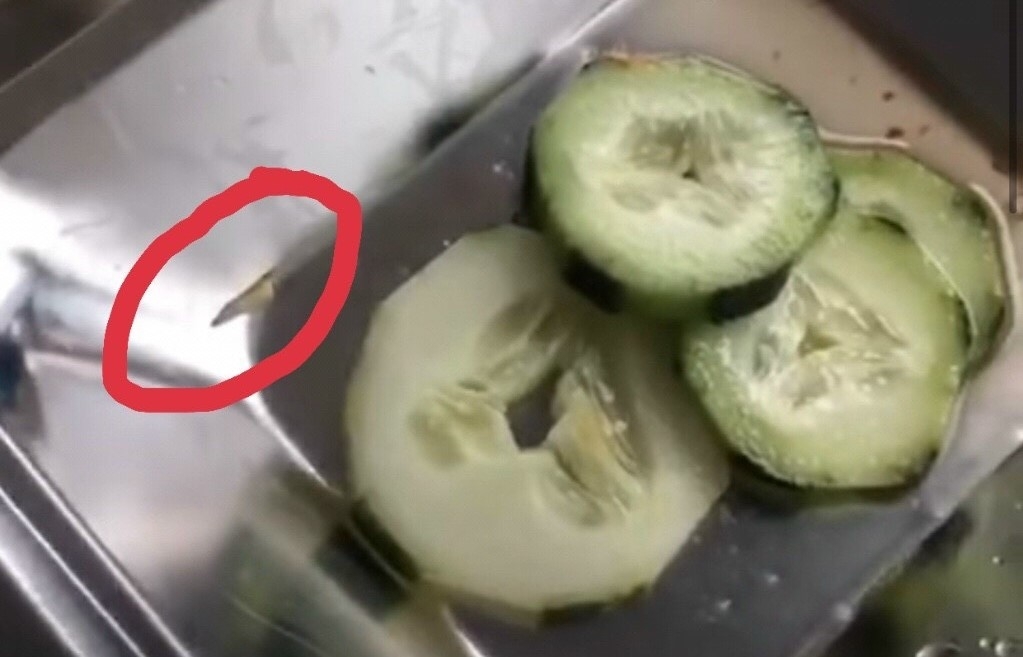 Dĩa cơm trưa của công nhân có giòi, Công đoàn Quảng Nam nói gì?