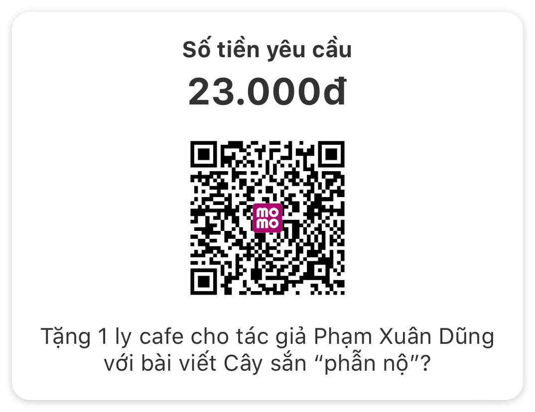 Cây sắn Cây sắn