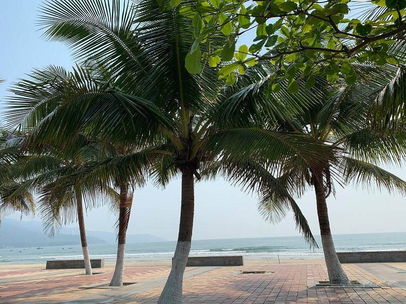 Kinh nghiệm phượt Hà Nội - Đà Nẵng bằng ô tô Kinh nghiệm phượt Hà Nội - Đà Nẵng bằng ô tô