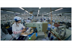 Hơn 45.000 tỷ đồng hỗ trợ các đối tượng bị ảnh hưởng bởi dịch Covid-19