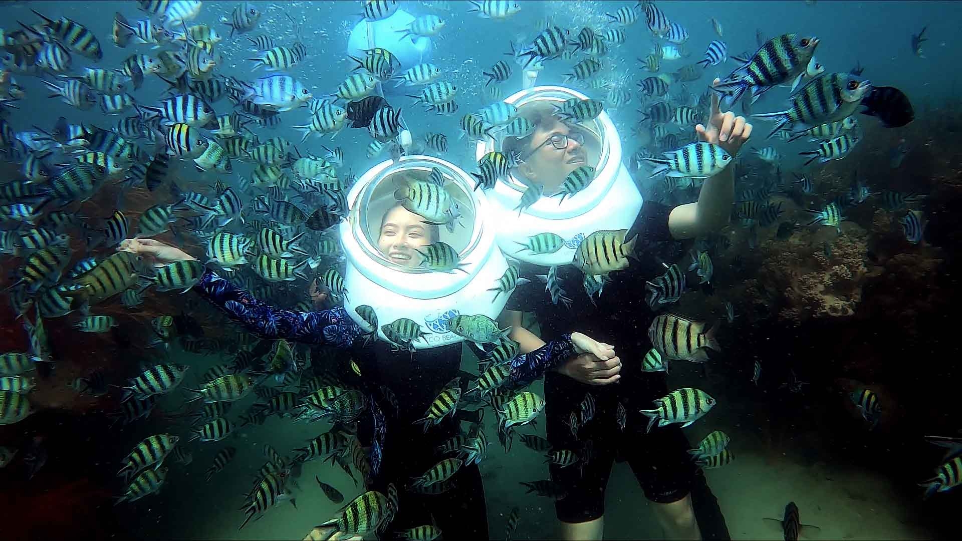 Phú Quốc “phiên bản mới” có gì mà hút khách đến thế? Phú Quốc “phiên bản mới” có gì mà hút khách đến thế?