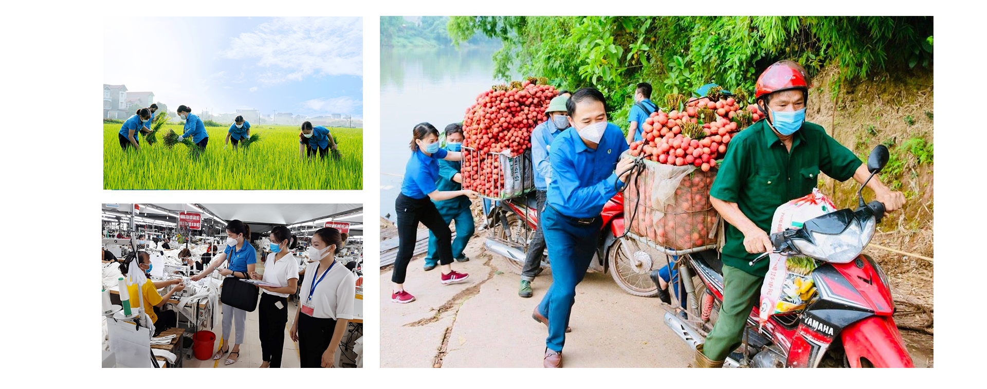 Hiệu quả của phong trào thi đua đã thể hiện bằng những con số Hiệu quả của phong trào thi đua đã thể hiện bằng những con số