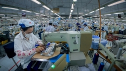 Thị trường lao động có dấu hiệu phục hồi vào quý cuối năm 2021