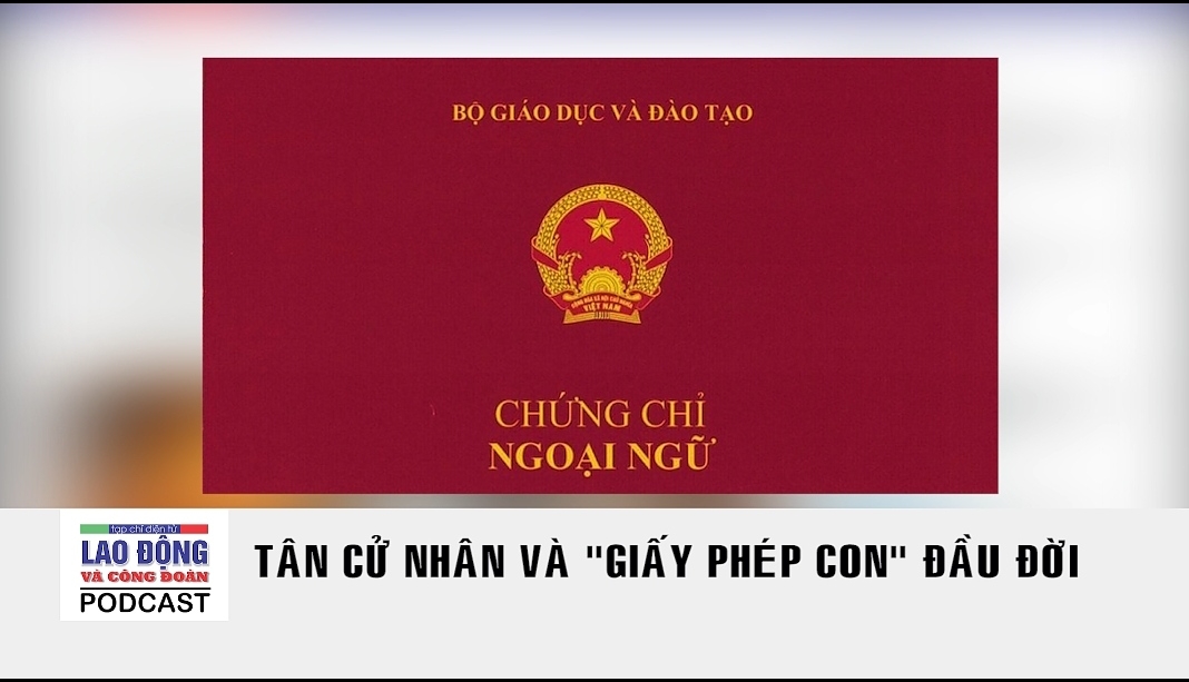 Podcast Cà phê tối: Tân cử nhân và "giấy phép con" đầu đời