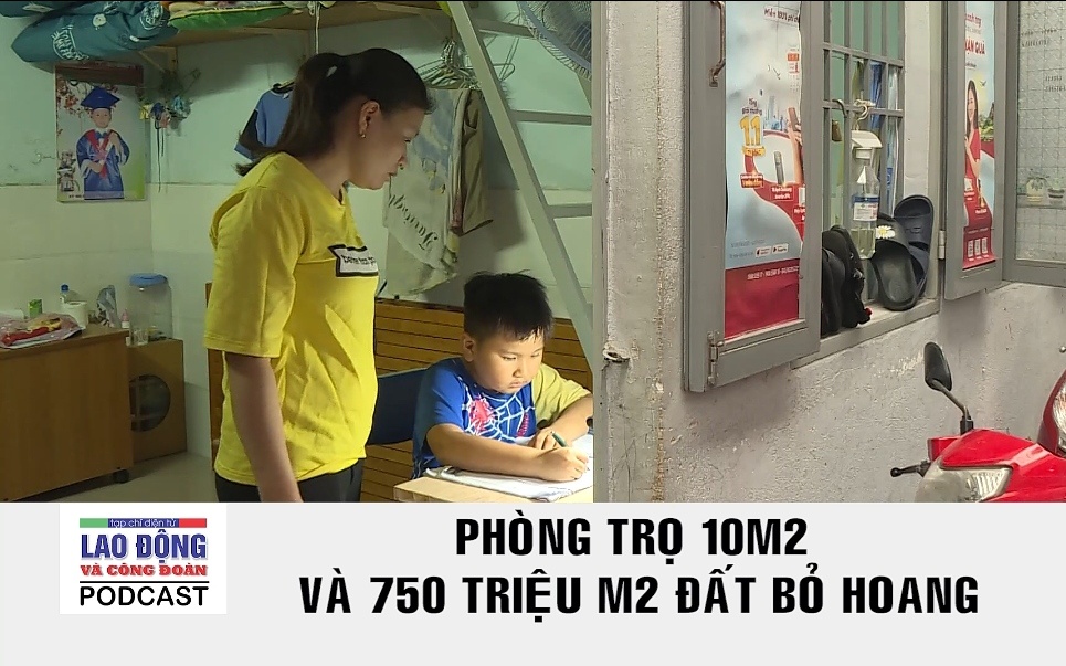 Podcast Cà phê tối: Phòng trọ 10m2 và 750 triệu m2 đất bỏ hoang