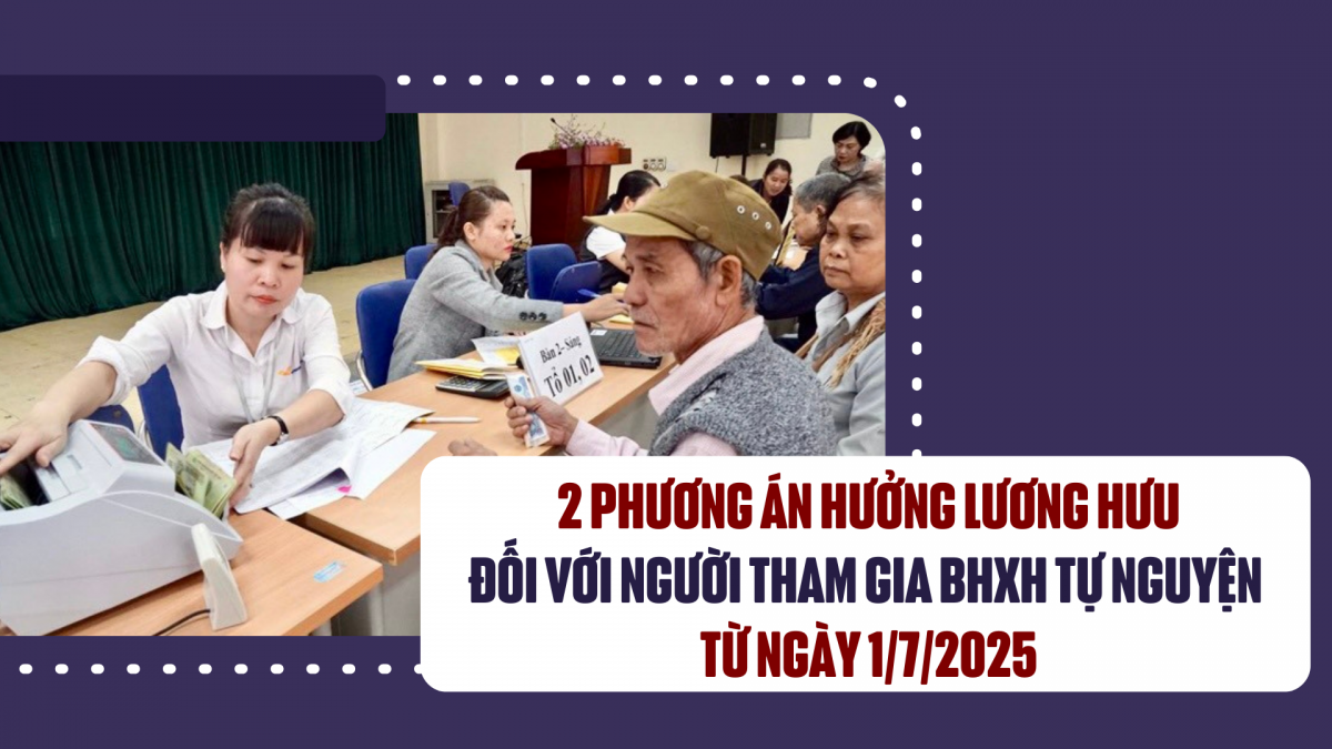2 phương án hưởng lương hưu đối với người tham gia bảo hiểm xã hội tự nguyện từ ngày 1/7