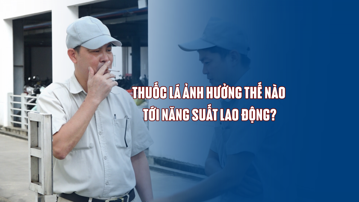 Thuốc lá ảnh hưởng thế nào tới năng suất lao động?