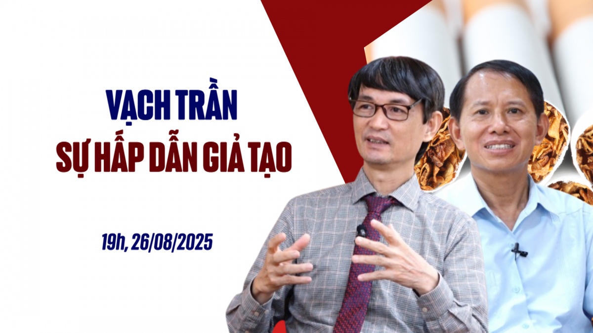 Trailer: Vạch trần sự hấp dẫn giả tạo