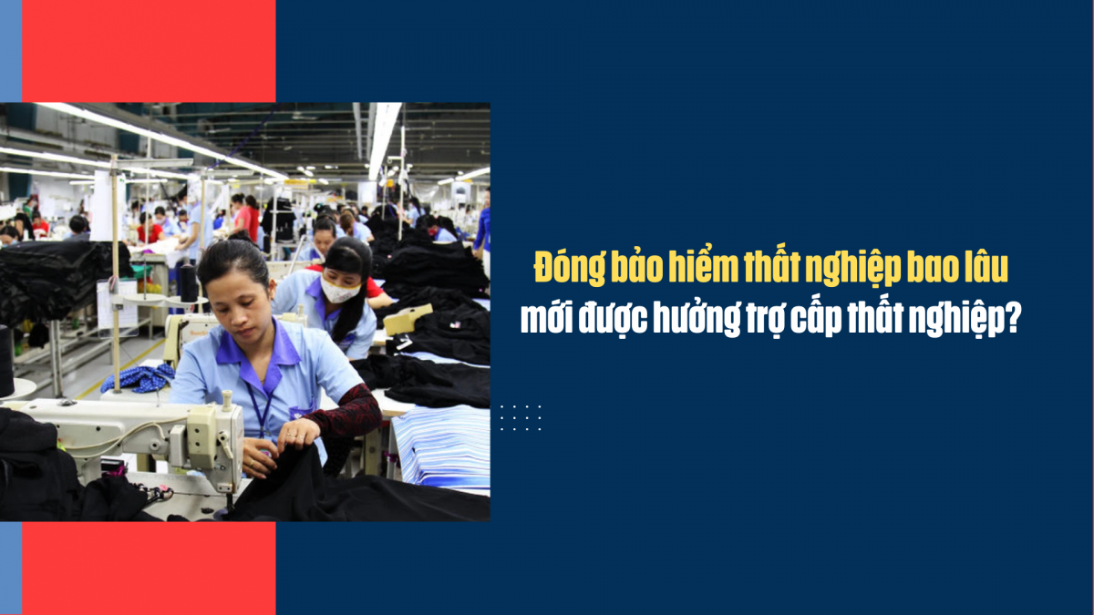 Đóng bảo hiểm thất nghiệp bao lâu mới được hưởng trợ cấp thất nghiệp?