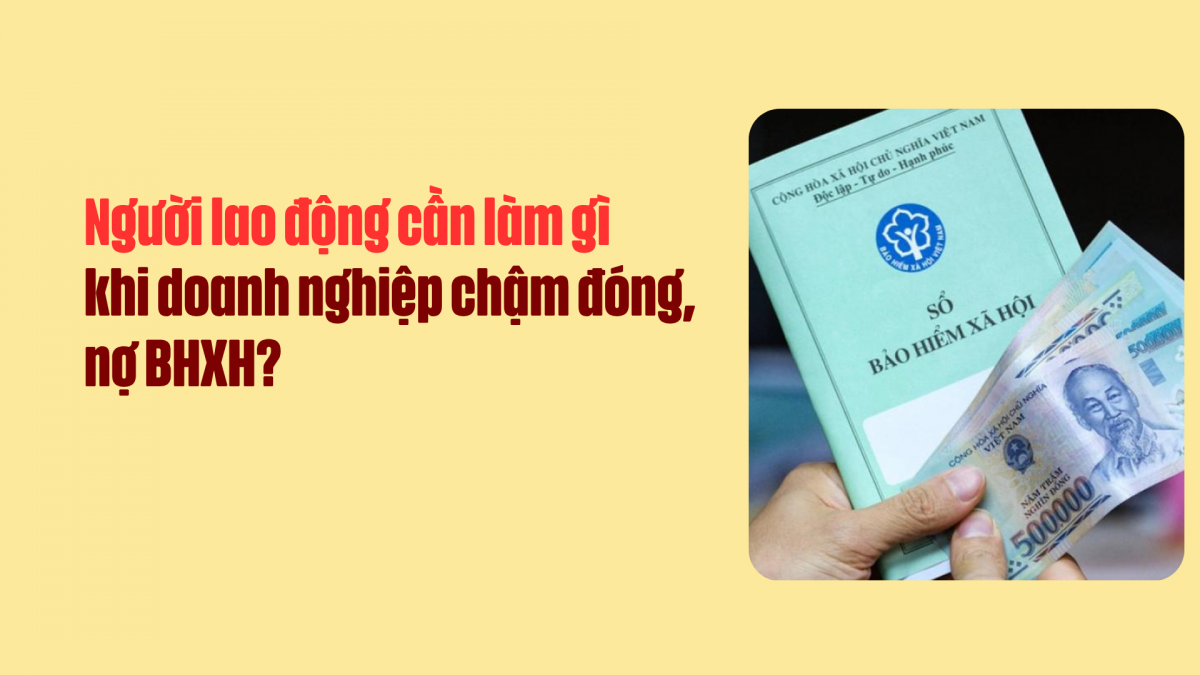 Người lao động cần làm gì khi doanh nghiệp chậm đóng, nợ BHXH?